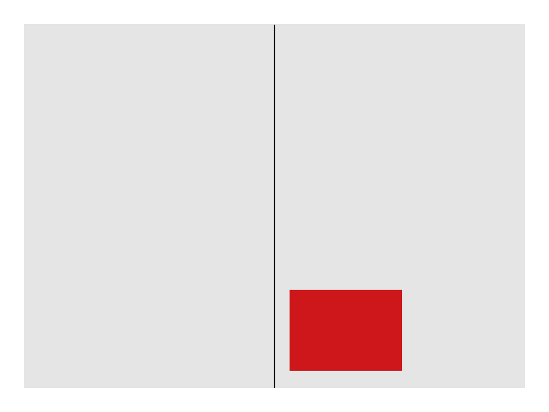 Kronen Zeitung Format 1/2